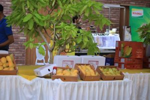 395407470_725653959598164_6230723072751493291_n