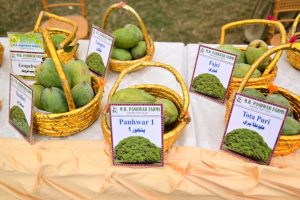 449820147_899973082166250_388842000471705941_n