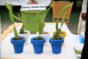 450003974_899975128832712_2349050462002869688_n