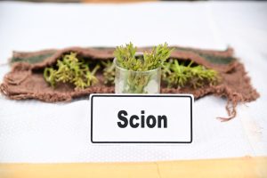 450003997_899974765499415_3435028998479693487_n