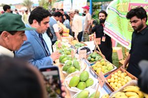 450010117_899983392165219_5721691933562582541_n