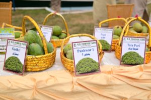 450010919_899975382166020_505891663103174025_n