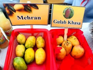 450013011_899975018832723_2982600751017513250_n