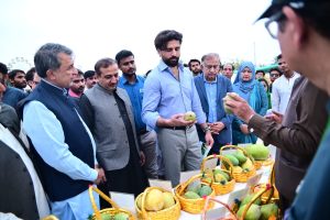 450017079_901459912017567_5365627271747211180_n