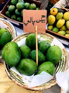 450299593_899975042166054_2109476231892984363_n