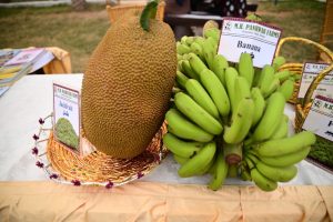 450307290_899975448832680_5014122843036166327_n