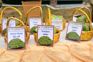 450319070_899975362166022_6805009300139310214_n