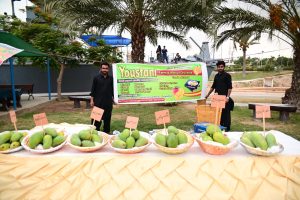 450322605_899975248832700_1369330731574088725_n