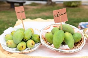 450324143_899975142166044_9033181856899769094_n