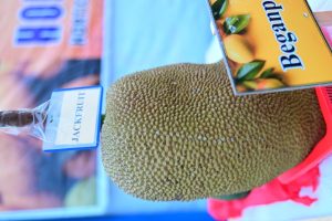 450331589_899974788832746_7444080319401259155_n