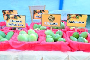 450350606_899974815499410_8582423427644118287_n