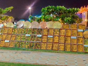 454478314_923899633106928_7473311930706652850_n